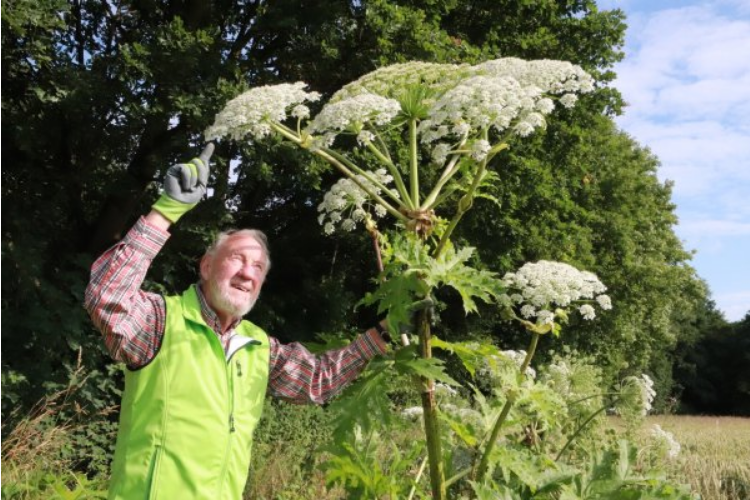 Tierische und pflanzliche Neubürger – Gefahr für die Natur?